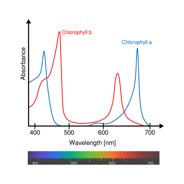 Light Spectrum